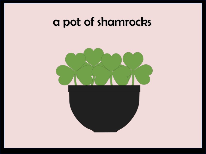 a pot of shamrocks